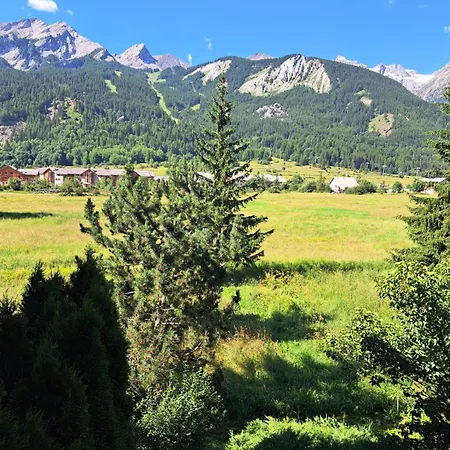 Marmotte