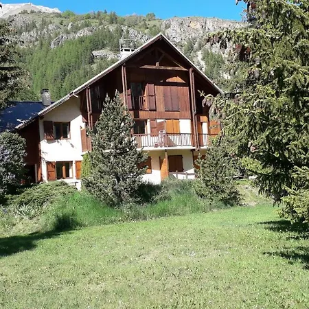 Marmotte Le Monêtier-les-Bains